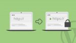 SSL و مزیتهای استفاده از آن در سایت