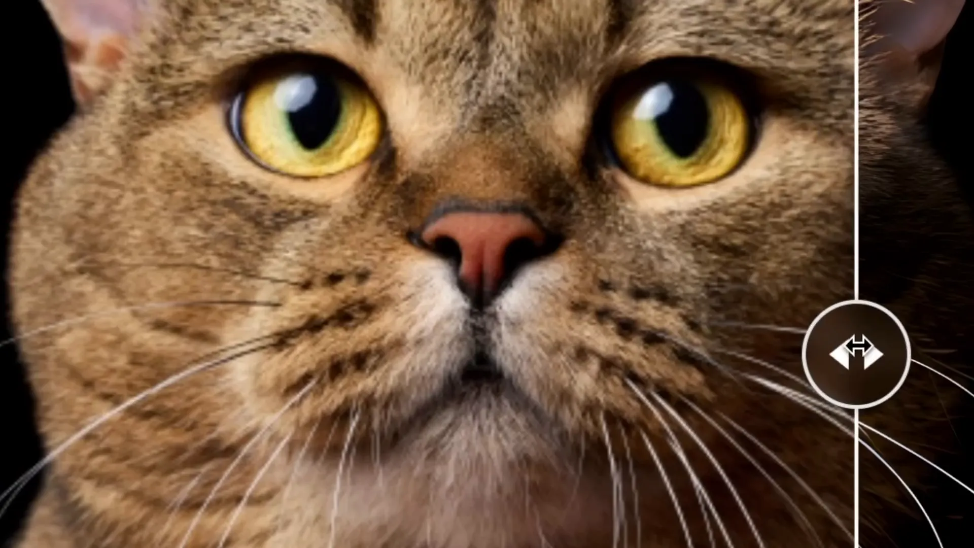 هوش مصنوعی بالا بردن کیفیت عکس